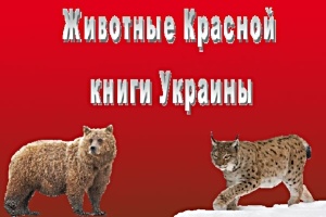 Животные Красной книги Украины